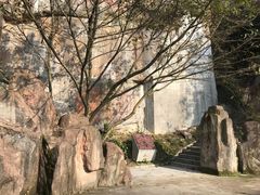 -铁山坪森林公园