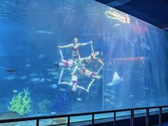 -泉城欧乐堡海洋极地世界