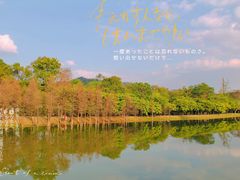 -中国科学院华南植物园