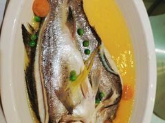 豆渣饼蒸海鲈鱼-好福记饭店(红梅公园店)
