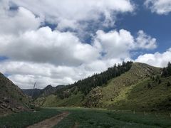 -山丹皇家马场