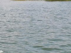 -鄱阳湖国家湿地公园