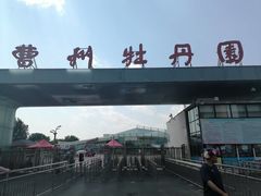 -曹州牡丹园
