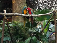 -杭州开元森泊度假乐园