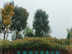 -眉山湿地公园(东坡区)