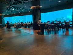 -海棠湾洲际-涛·海底餐厅·美人鱼·自助餐·海底隧道