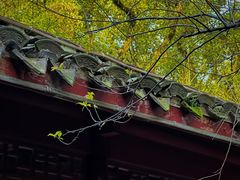 -天一阁博物院