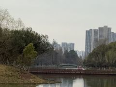 -青枫公园