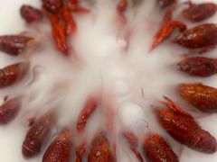 -红盔甲·小龙虾(天钥桥店)