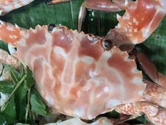 -老房子·1881海鲜餐厅