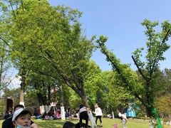 -铁山坪森林公园