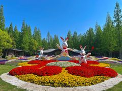 -东平国家森林公园