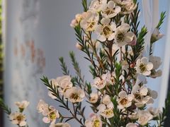 -默迹咖啡馆