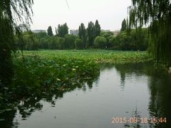 android_upload_pic-紫竹院公园冰场