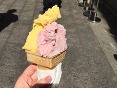 -柠檬车露(卖草地店)