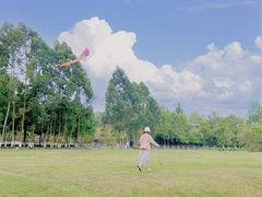 -夏河溪乡野公园