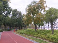 -上海山野camping·户外天幕烧烤·团建拓展营地