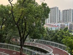 -金鸡山公园