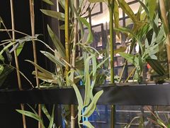 -徽镇小厨·经典徽菜(十里河店)
