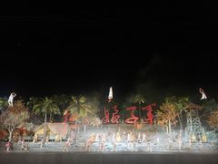 -三亚红色娘子军演艺公园景区