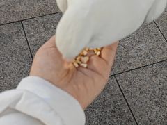 -人民广场