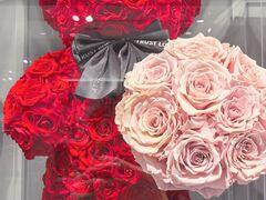 -ROSEONLY诺誓(国际广场购物中心店)