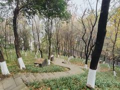 -重庆平顶山公园