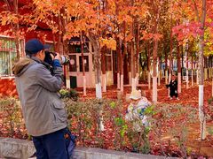 -辽宁大学(崇山校区)