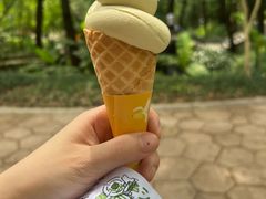 -东明山森林公园