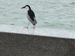 -水上明月·湖景餐厅