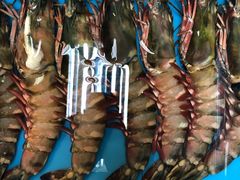 -ZF Seafood Restaurant 卓峰海鲜餐
