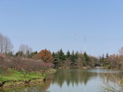 -上海海湾国家森林公园