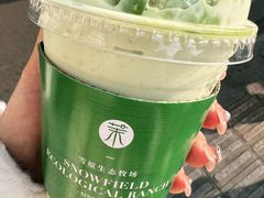 -茉酸奶(春熙路店)