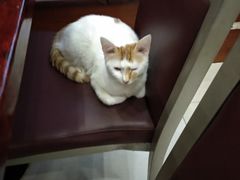 -星巴克(南京江宁弘阳家居店)