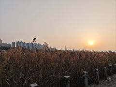 -江心屿景区
