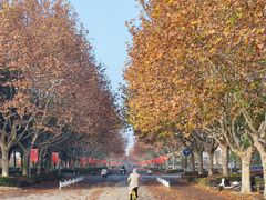 -东华大学(松江校区)
