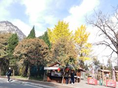-武当山风景区