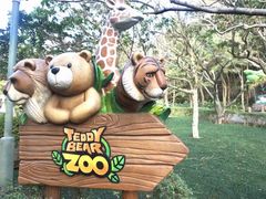 -济州岛泰迪熊博物馆