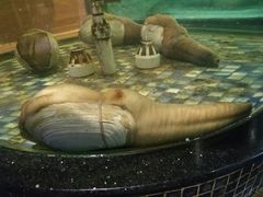 -海皇食府(水都假日酒店店)