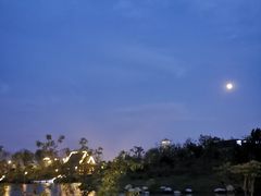 -Supine Bistro溯泮餐厅