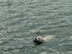 -佛手湖郊野公园