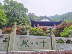 -十八棵（老龙井）御茶园(老龙井店)