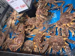 帝王蟹-盒马鲜生(岭南新世界店)