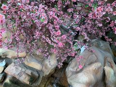 -榕记(番禺总店)