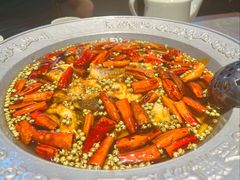 -新渝城·川菜·火锅(区庄店)