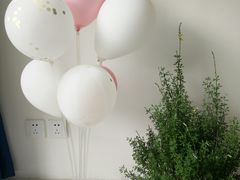 -Minicake创意蛋糕烘焙工作室