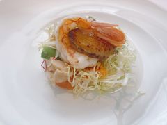 -蝶舍·MAISON PAPILLON