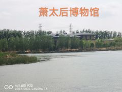 -马家湾湿地公园