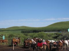 -塞罕坝国家级自然保护区