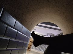 -绿岛汤泉韩式休闲会所